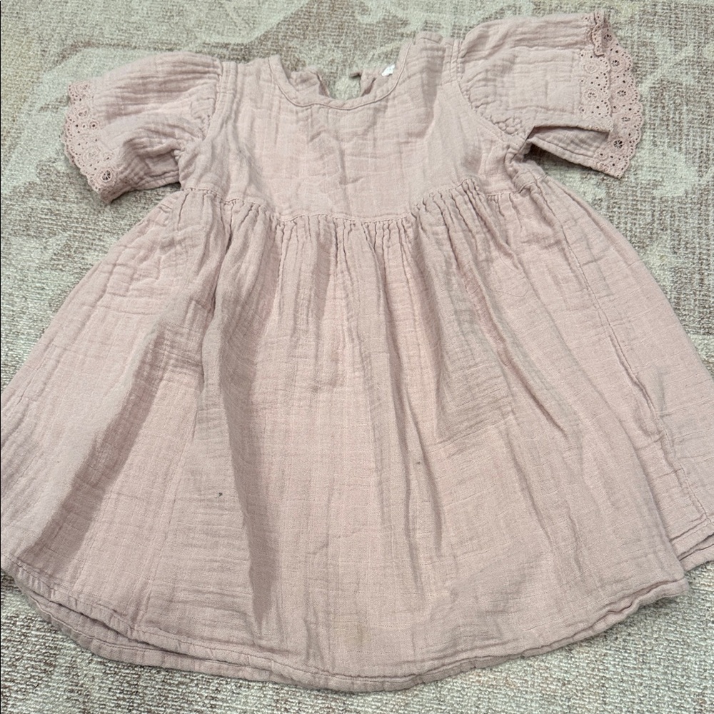 Adorable Pink Baby Dress with Lace Sleeves